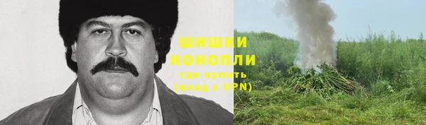 индика Покровск