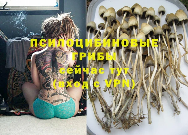 индика Покровск