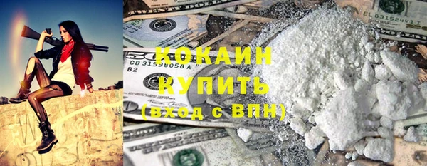 индика Покровск